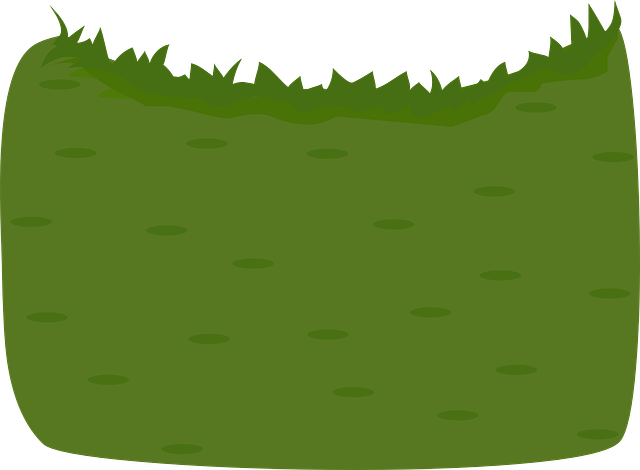 lawn-and-plant-640x480-56509316.png