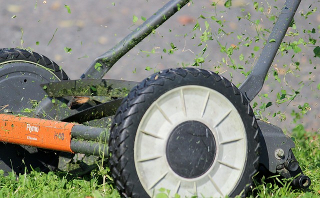 lawn-and-plant-640x480-7863153.jpeg