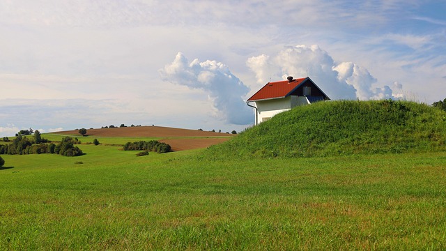 Lawn and Plant