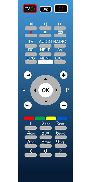pest-control-640x480-1732420.png