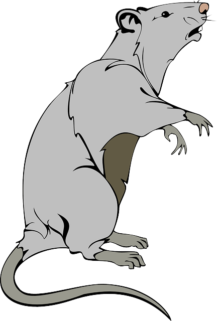 pest-control-640x480-24235665.png