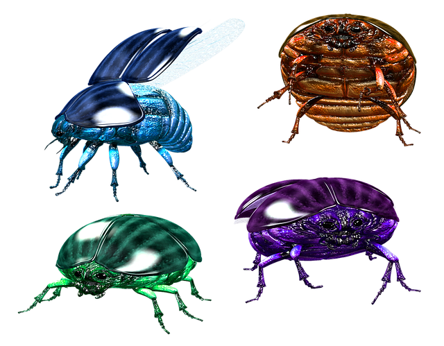 Pest Control