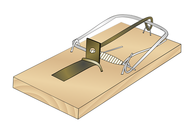 pest-control-640x480-57727415.png