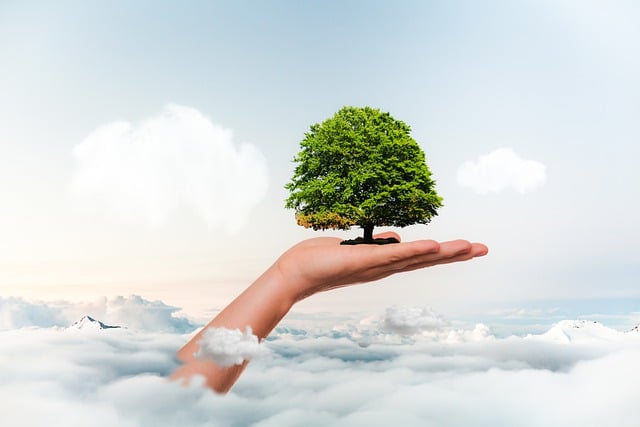 Tree Care Services