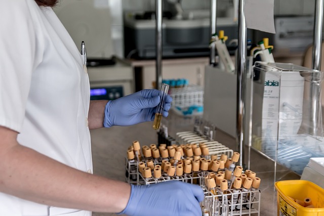 Asbestos Testing