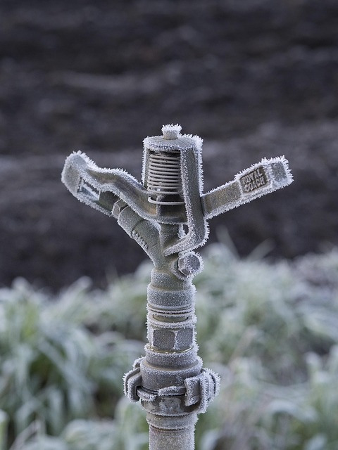 backflow-system-640x480-93724086.jpeg