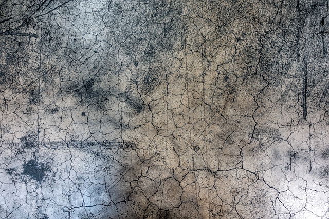 Concrete Patio
