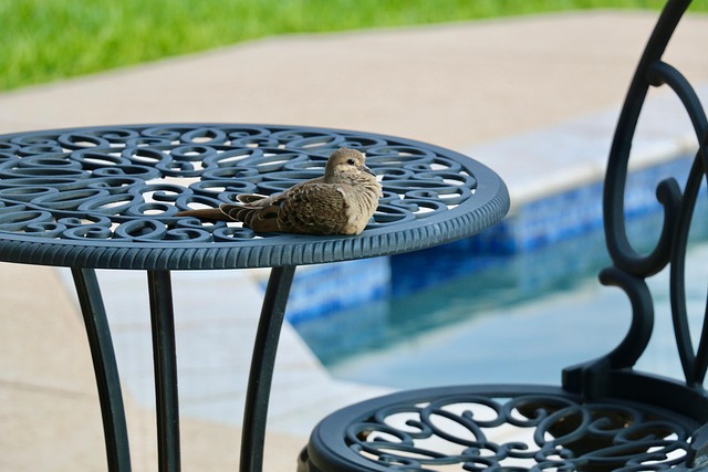 concrete-patio-640x480-53148063.jpeg
