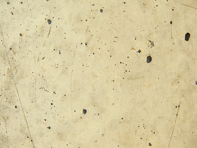Concrete Patio