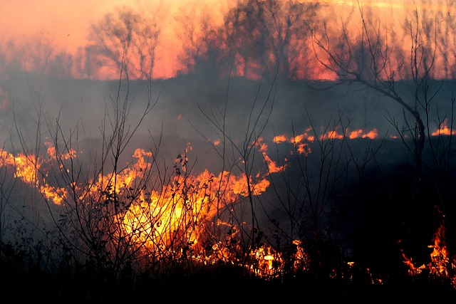 disaster-reconstruction-640x480-12913514.jpeg