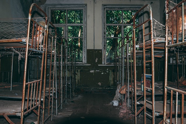 Disaster Reconstruction