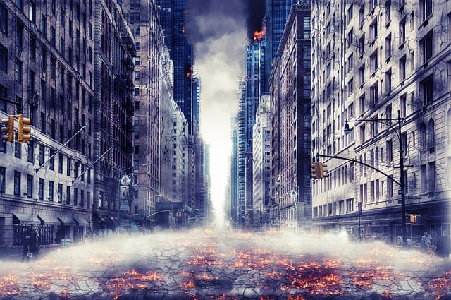 Disaster Reconstruction
