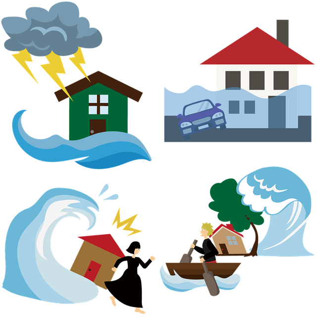 Disaster Reconstruction