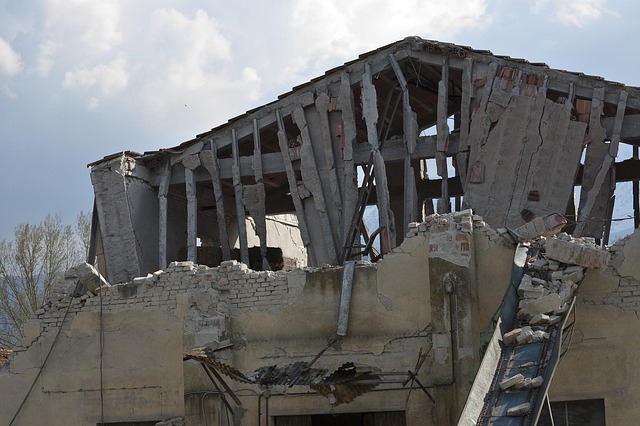 Disaster Reconstruction