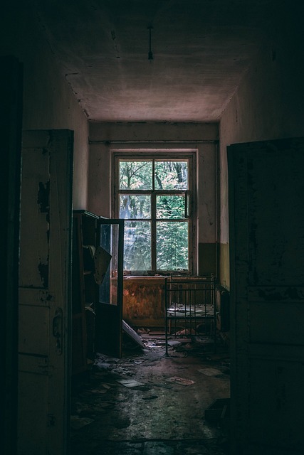 Disaster Reconstruction