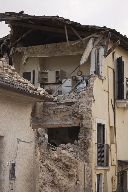 Disaster Reconstruction