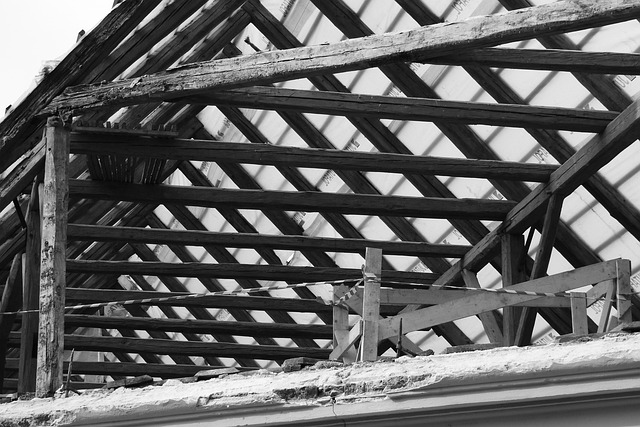 Disaster Reconstruction