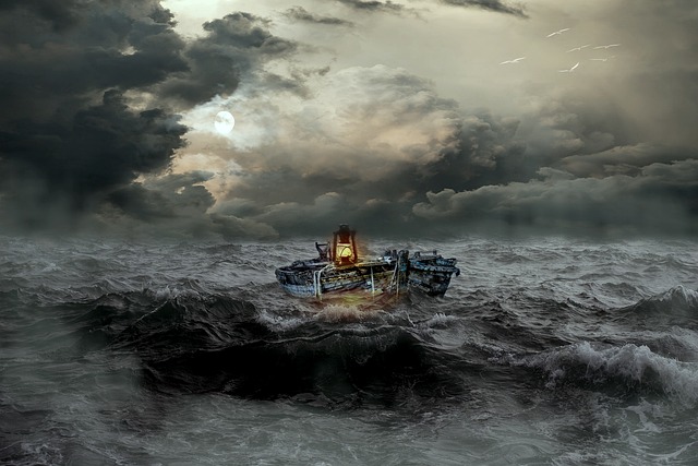Disaster Reconstruction