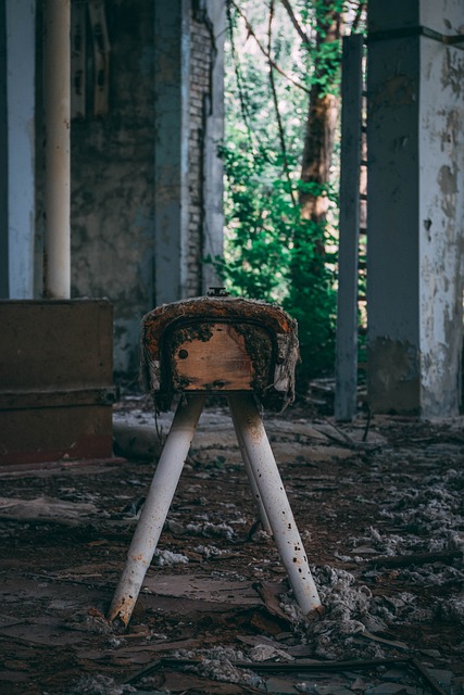 Disaster Reconstruction