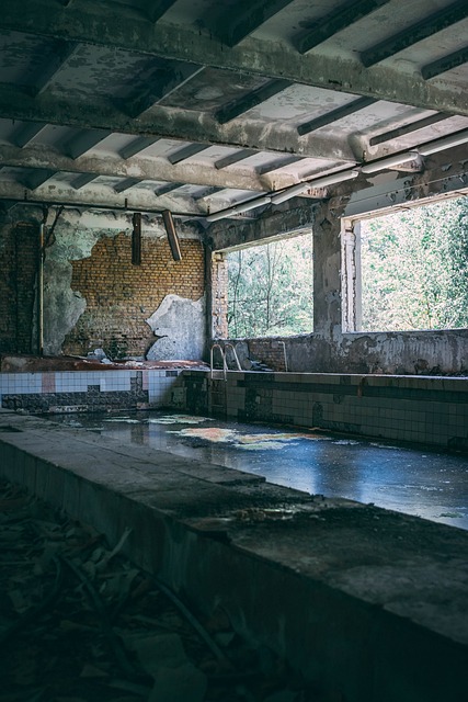 Disaster Reconstruction