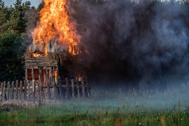 Disaster Reconstruction