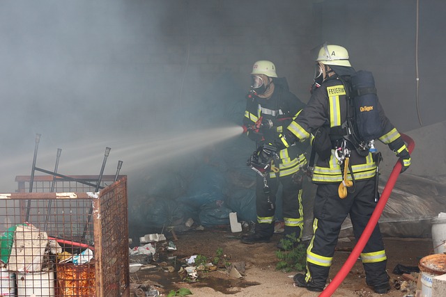 Fire Restoration
