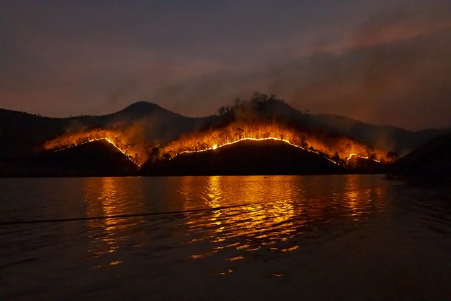 Fire Restoration