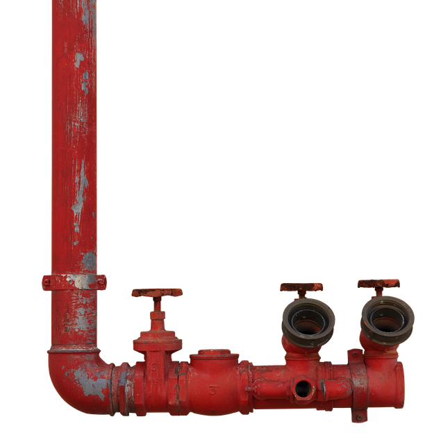 Fire Restoration