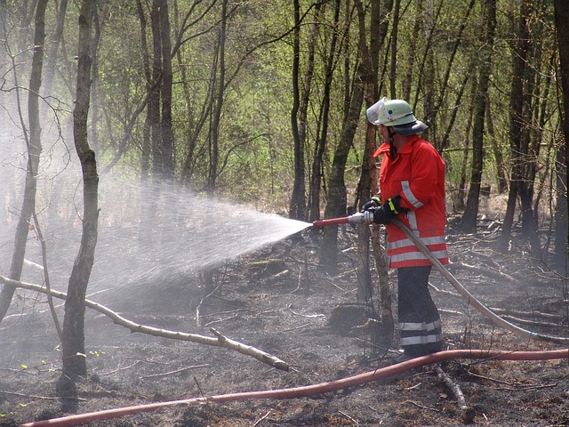 Fire Restoration