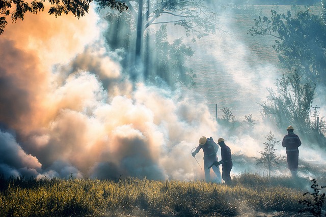 Fire Restoration