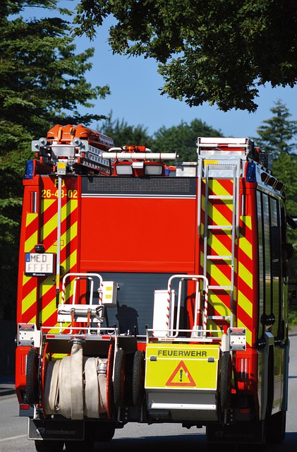 Fire Restoration