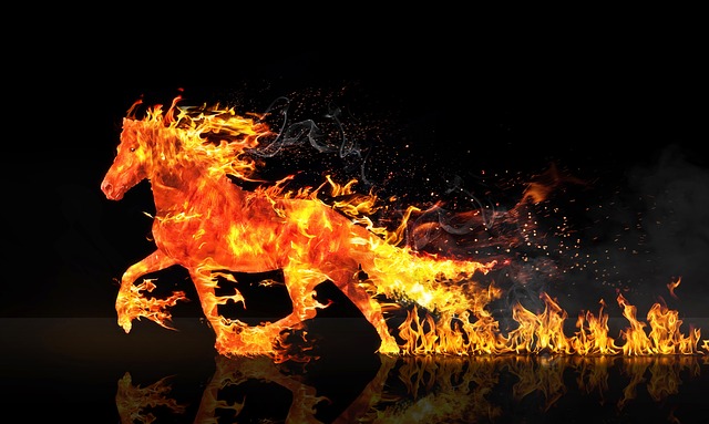 Fire Restoration