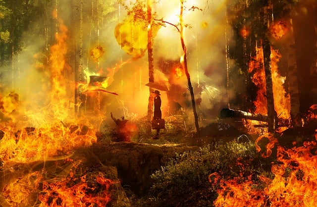 Fire Restoration
