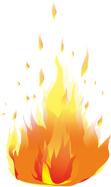 Fire Restoration