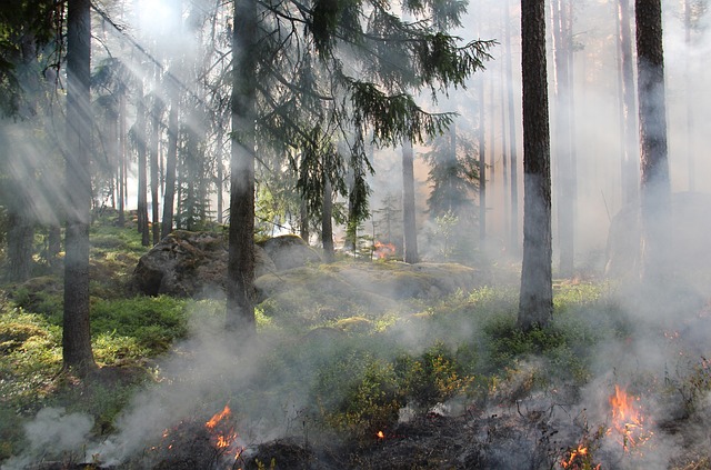 Fire Restoration