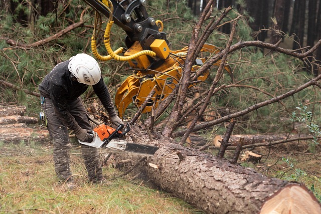 Fire Restoration