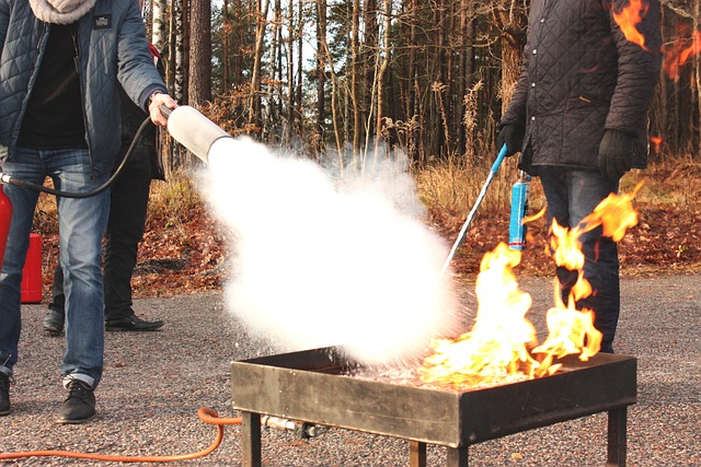 Fire Restoration