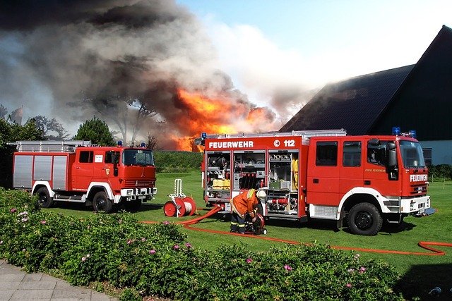 Fire Restoration