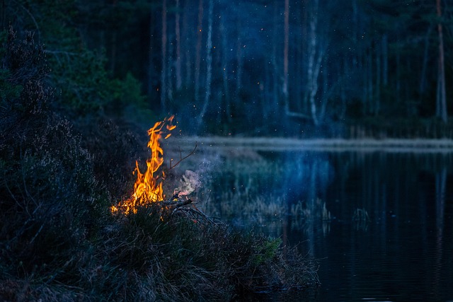 Fire Restoration
