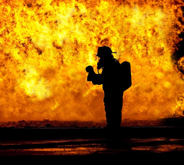 Fire Restoration