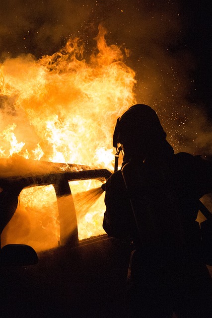 Fire Restoration