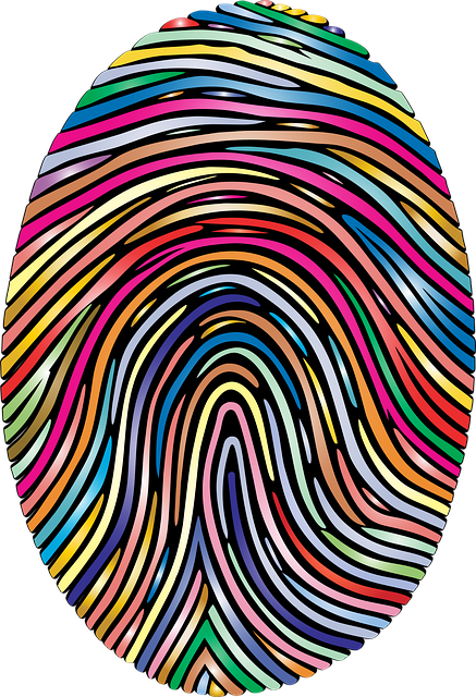 Identity Protection Insurance