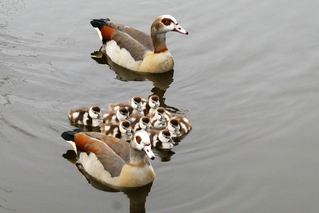 identity-protection-insurance-640x480-28300862.jpeg