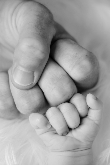 Identity Protection Insurance