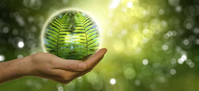 Identity Protection Insurance