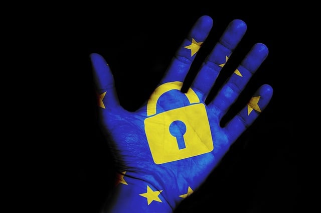 Identity Protection Insurance