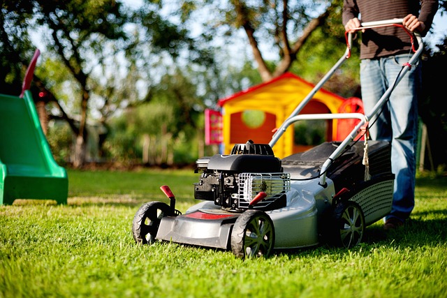 lawn-and-plant-640x480-1118276.jpeg