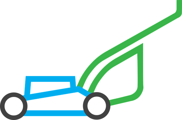 lawn-and-plant-640x480-13654321.png