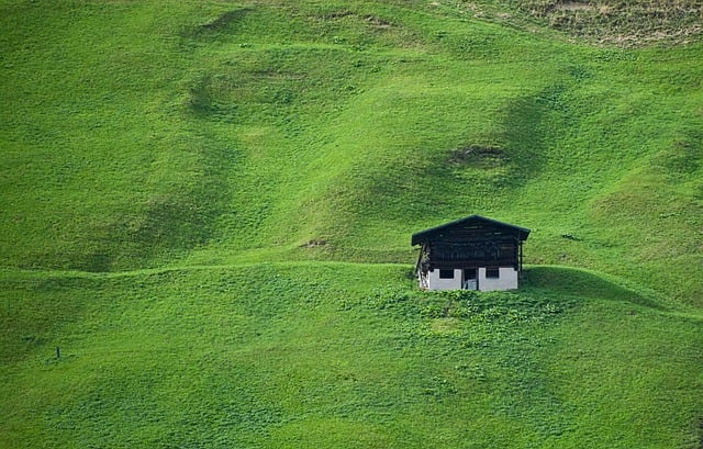 Lawn and Plant