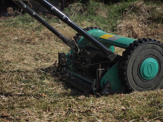 lawn-and-plant-640x480-17617550.jpeg